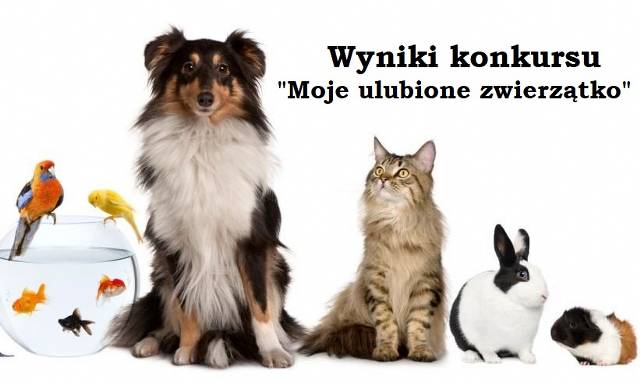 „Moje ulubione zwierzątko” – konkurs rozstrzygnięty